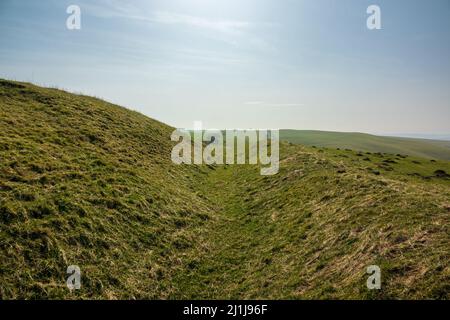 Offa's Dyke : section sur le versant ouest de Llanfair Hill Banque D'Images