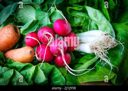 Concept alimentaire végétarien. Composition de légumes frais. Divers légumes sur une table en bois. Légumes frais disposés à bord. Nourriture végétalienne saine Banque D'Images