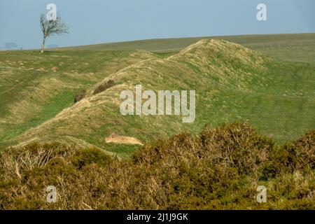 Offa's Dyke : section sur le versant ouest de Llanfair Hill Banque D'Images