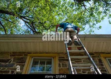 Vue à angle bas de l'homme décentré sur l'échelle de nettoyage des gouttières d'une maison en pierre Banque D'Images