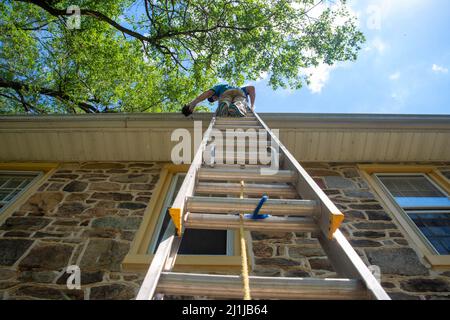 Vue à angle bas d'un homme sur une échelle de nettoyage des gouttières de la vieille maison en pierre Banque D'Images