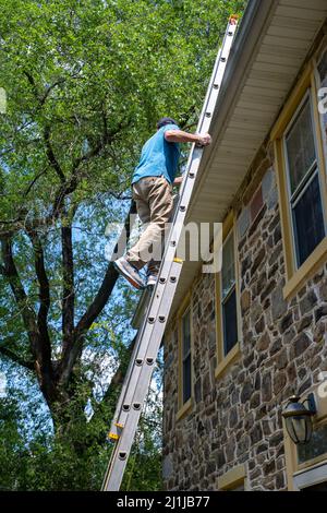 Vue latérale verticale d'un homme sur une échelle de nettoyage des gouttières d'une maison en pierre Banque D'Images