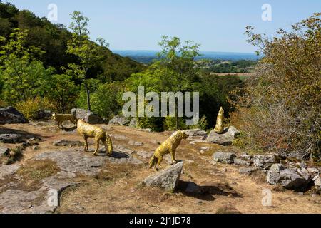 Horizons arts et natures dans Sancy 2019. Oree par Mael Nozahic. Puy de Dôme. Auvergne Rhône Alpes. France Banque D'Images