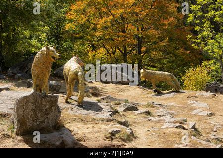 Horizons arts et natures dans Sancy 2019. Oree par Mael Nozahic. Puy de Dôme. Auvergne Rhône Alpes. France Banque D'Images