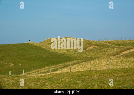 Offa's Dyke : section sur le versant ouest de Llanfair Hill Banque D'Images