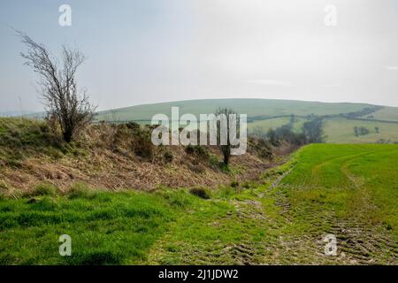 Offa's Dyke : section sur le versant ouest de Llanfair Hill Banque D'Images