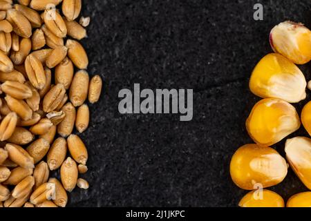 Vue de dessus du blé et du grain de maïs éparpillés sur une surface en pierre noire. Scène éclairée par une lumière artificielle douce. Banque D'Images