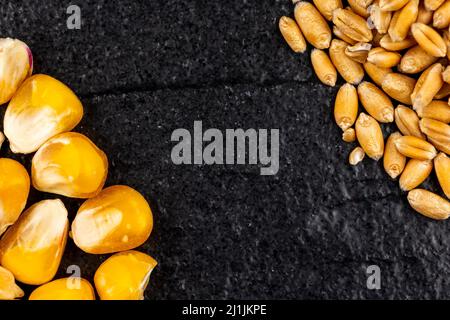 Vue de dessus du blé et du grain de maïs éparpillés sur une surface en pierre noire. Scène éclairée par une lumière artificielle douce. Banque D'Images