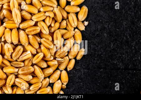 Vue de dessus du grain de blé éparpillé sur une surface en pierre noire. Scène éclairée par une lumière artificielle douce. Banque D'Images