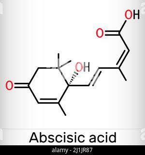 Acide abscissique, molécule d'ABA. C'est dormine, hormone végétale. Formule chimique du squelette. Illustration vectorielle Illustration de Vecteur