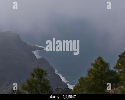 Vue aérienne de la côte ouest de l'Atlantique de l'île Gran Canaria, Espagne depuis les montagnes du parc naturel de Tamadaba par temps de brouillard avec des arbres. Banque D'Images