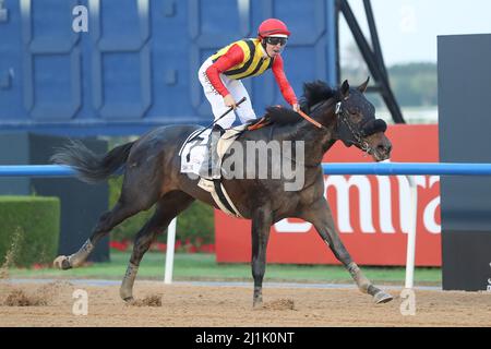 Meydan, États-Unis. 26th mars 2022. 26 mars 2022 : la Crown Pride #7, criblée par Damian Lane, remporte le Derby des Émirats arabes Unis (Groupe 2). Sur la carte de la coupe du monde de Dubaï au champ de courses de Meydan à Meydan, Dubaï, Émirats arabes Unis le 26th mars 2022. Shamela Hanley/Eclipse Sportswire/CSM/Alamy Live News Banque D'Images