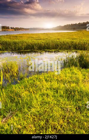 Belle vue sur la rivière sinueuse en été. Rivière Buh Du Sud, Ukraine, Europe. Le monde de la beauté. Banque D'Images