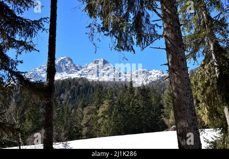 Vue depuis les bois sur les montagnes entourant le Val Fiscalina, avec le groupe Tre Scarperi dans le centre Banque D'Images