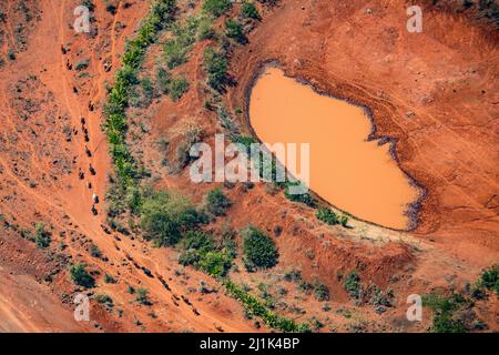 Vue aérienne fantastique et stupéfiante d'un troupeau de bétail trageant dans un seul fichier, devant un trou d'eau de couleur orange dans la savane xérienne du Kenya Banque D'Images