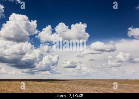 Champ sur un fond de ciel bleu fantastique. Le monde de la beauté. Banque D'Images