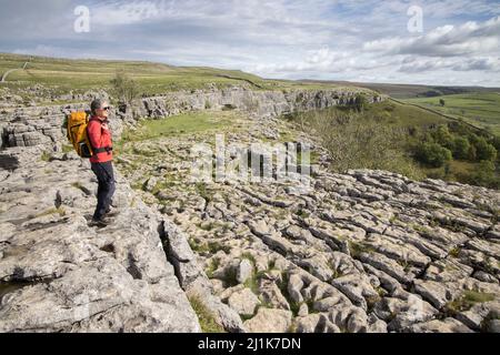 Personne debout sur les trinks et les grykes au sommet de Malham Cove, Yorkshire Dales, Royaume-Uni Banque D'Images