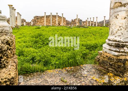 Ruines de salamis à Yeni Boğaziçi, République turque de Chypre-Nord (TRNC) Banque D'Images