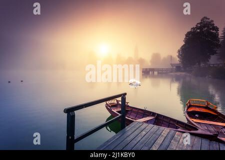 Majestueux paysage coloré sur le lac de brouillard dans le parc national de Triglav, situé dans la vallée de Bohinj des Alpes Juliennes. Vue spectaculaire. Effet Instagram Banque D'Images