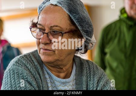 Fatma est la fromagerie de son village d'Akdemiz, dans le nord de Chypre. Chaque jour, les agriculteurs locaux lui livrent du lait frais provenant de chèvres, de moutons et de vaches pour la préparation d'hellim ou d'halloumi. Dans le village d'Akdeniz, qui traduit signifie mer Méditerranée, vous obtenez une impression de la vie typique de pays chypriote. Chaque jour, la fromagère Fatma Haloumi (Hellim), la spécialité chypriote la plus célèbre à base de lait de chèvre et de lait de brebis. Banque D'Images