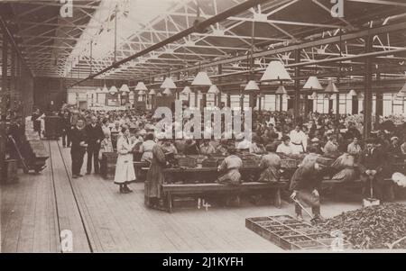 Royal Small Arms Factory, Enfield, magasin principal de machines, première Guerre mondiale. Les travailleuses de munitions travaillant sur des bancs avec des boîtes de munitions devant elles. Deux hommes au premier plan sont en pelant du métal dans des boîtes. Un autre homme transporte des boîtes avec un chariot à sac. Carte postale photographique vendue par Wakefield, Ealing, Londres. Banque D'Images