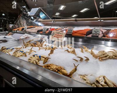 Lynnwood, WA États-Unis - vers mars 2022 : vue inclinée d'une exposition de fruits de mer de crabe dormeur sur glace. Banque D'Images