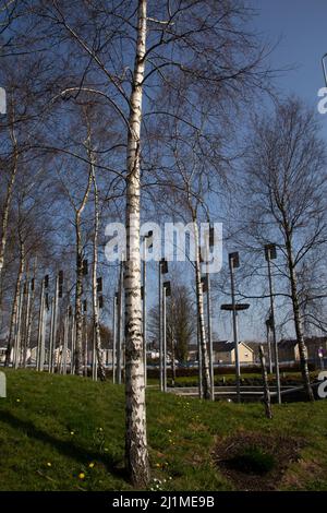 Jardin commémoratif des 31 victimes de l'attentat à la voiture d'Omagh le 15 août 1998 dans la ville d'Omagh, comté de Tyrone, Irlande du Nord Banque D'Images