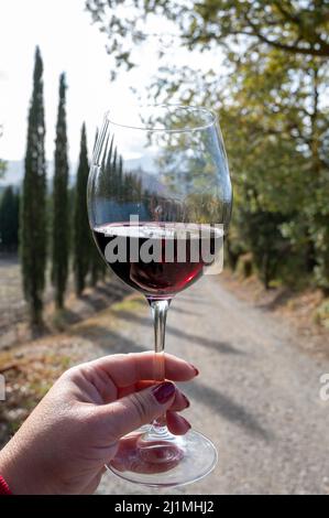 Dégustation de vin de sangiovese rouge avec des vignobles vallonnés typiques et cyprès de Montepulciano, Toscane, Italie en automne Banque D'Images