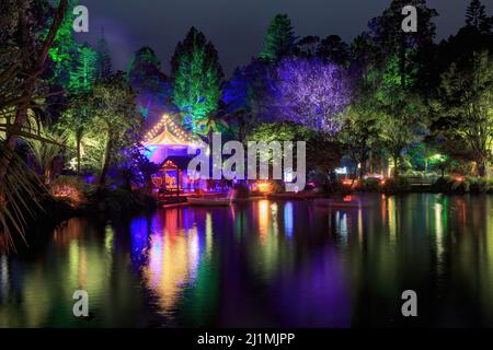 Pukekura Park à New Plymouth, Nouvelle-Zélande. Les arbres autour du lac ont été illuminés en couleurs pour le Festival annuel des lumières Banque D'Images