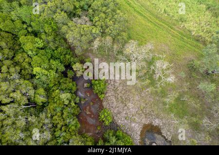 Un petit cours d'eau ou un ruisseau qui serpente à travers le Bush rural. Paysage aérien de drone. Banque D'Images
