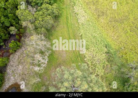 Au-dessus des rives d'un petit ruisseau qui s'enroule à travers le Bush rural. Paysage aérien de drone. Banque D'Images