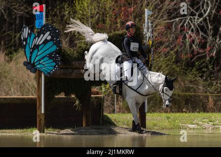 Raeford, Caroline du Nord, États-Unis. 26th mars 2022. CAROLINE MARTIN, des États-Unis, à cheval Islandwood Captain Jack, concurrence dans le cross-country CCI4* au Carolina International CCI and Horse Trial, le 26 mars 2022 au Carolina Horse Park à Raeford, en Caroline du Nord. Le Carolina International CCI and Horse Trial est l'un des principaux concours d'événants en Amérique du Nord pour les combinaisons d'événants nationales et internationales, accueillant les niveaux CCI1*-S à CCI4*-S et les niveaux nationaux de formation par Advanced. (Image de crédit : © Timothy L. Hale/ZUMA Press Wire) Banque D'Images