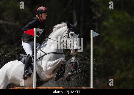 Raeford, Caroline du Nord, États-Unis. 26th mars 2022. CAROLINE MARTIN, des États-Unis, à cheval Islandwood Captain Jack, concurrence dans le cross-country CCI4* au Carolina International CCI and Horse Trial, le 26 mars 2022 au Carolina Horse Park à Raeford, en Caroline du Nord. Le Carolina International CCI and Horse Trial est l'un des principaux concours d'événants en Amérique du Nord pour les combinaisons d'événants nationales et internationales, accueillant les niveaux CCI1*-S à CCI4*-S et les niveaux nationaux de formation par Advanced. (Image de crédit : © Timothy L. Hale/ZUMA Press Wire) Banque D'Images