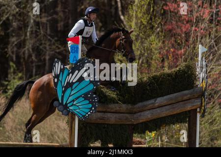 Raeford, Caroline du Nord, États-Unis. 26th mars 2022. WILLIAM COLEMAN, des États-Unis, de Dondante à cheval en compétition CCI4* au Carolina International CCI and Horse Trial, le 26 mars 2022 au Carolina Horse Park à Raeford, en Caroline du Nord. Le Carolina International CCI and Horse Trial est l'un des principaux concours d'événants en Amérique du Nord pour les combinaisons d'événants nationales et internationales, accueillant les niveaux CCI1*-S à CCI4*-S et les niveaux nationaux de formation par Advanced. (Image de crédit : © Timothy L. Hale/ZUMA Press Wire) Banque D'Images