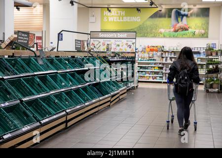 Londres, Royaume-Uni. 26th mars 2022. Un client a vu un chariot marcher le long de l'allée des étagères vides de tomates. Les grèves des camions en Espagne continuent d'affecter les approvisionnements alimentaires, en particulier les approvisionnements en légumes dans le reste de l'Europe. Les articles tels que les tomates et les laitues sont en pénurie dans les supermarchés britanniques. Crédit : SOPA Images Limited/Alamy Live News Banque D'Images