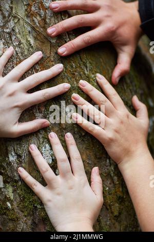 Sensation de vie sous leurs doigts. Photo d'un groupe d'amis non identifiables mettant leurs mains sur un tronc d'arbre. Banque D'Images