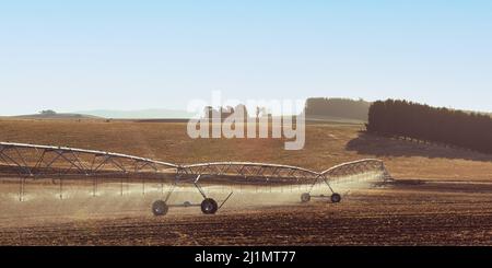 Campagne rurale à Harford, Tasmanie Banque D'Images