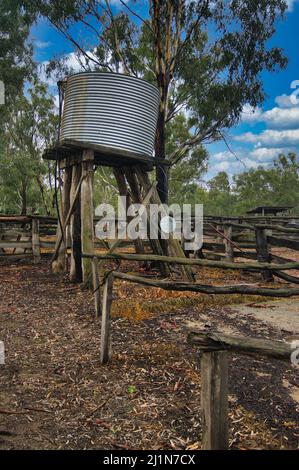 Ancien réservoir d'eau en fer ondulé, reposant sur une structure en bois robuste. Barmah, Victoria, Australie. Banque D'Images