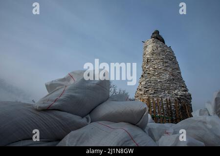 Kharkiv, Ukraine. 26th mars 2022. Un monument au poète Taras Shevchenko est protégé par des sacs de sable à Kharkiv, en Ukraine, le 26 mars 2022. Les attaques actuelles de la Russie étaient moins fréquentes que les jours précédents, les forces ukrainiennes repoussant les unités russes. (Image de crédit : © Daniel Carde/ZUMA Press Wire) Banque D'Images