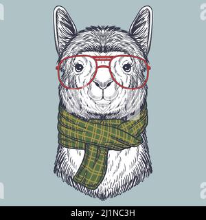 Llama dessiné à la main portant des lunettes rouges et un foulard Illustration de Vecteur