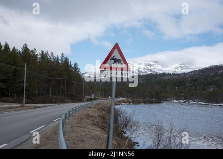 Panneau d'avertissement pour le wapiti à Hardangervidda en Norvège au début du mois de mai. Banque D'Images