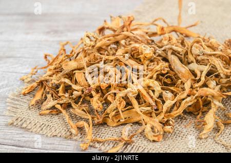 Le cordyceps militaris séché fleur de champignon sur fond de bois. Banque D'Images