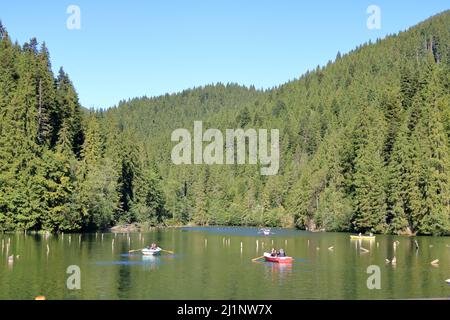 Lacu Rosu, Lac Rouge, au début de l'automne, en Transylvanie, comté de Harghita, La Roumanie, les habitants le nomma Killer Lake Banque D'Images