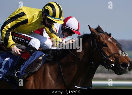 Lord Dudley, criblé par Jake Coen sur le chemin de gagner le Daddy lisse à Compas Staliens handicap à l'hippodrome de Naas. Date de la photo: Dimanche 27 mars 2022. Banque D'Images