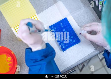 Scientifiques de laboratoire médical utilisant des micropipettes à déplacement d'air remplissant un tube de réaction incolore. Banque D'Images