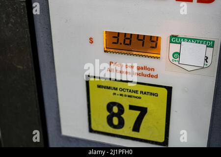 Tout le monde regarde le prix du carburant Banque D'Images