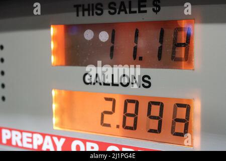 Tout le monde regarde le prix du carburant Banque D'Images