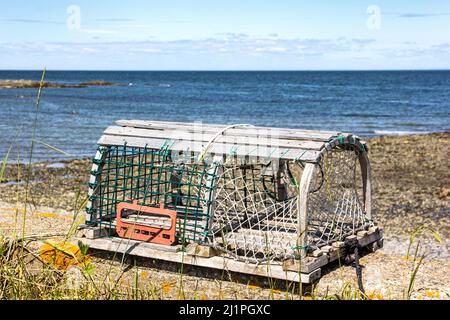 Piège à homard au bord du fleuve Saint-Laurent, Québec, Canada Banque D'Images