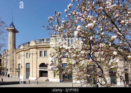 Bourse de Commerce Bâtiment de Paris dans le quartier les Halles à Paris. Sur la colonne de gauche des Médicis colonne Médicis, Paris, France. Banque D'Images