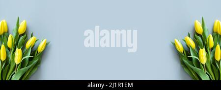 Bannière horizontale avec tulipes jaunes sur papier gris avec espace de copie. Arrière-plan pour la fête des femmes, le 8 mars jour de la Saint-Valentin, le 14 février. Style de pose à plat Banque D'Images